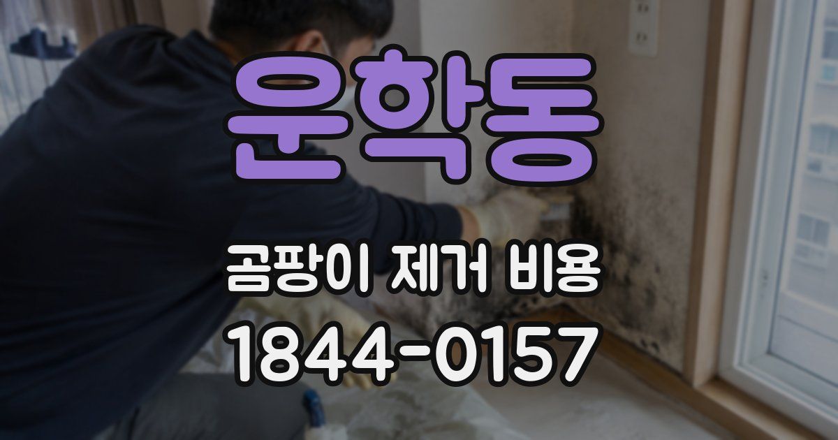 운학동 곰팡이 제거 비용