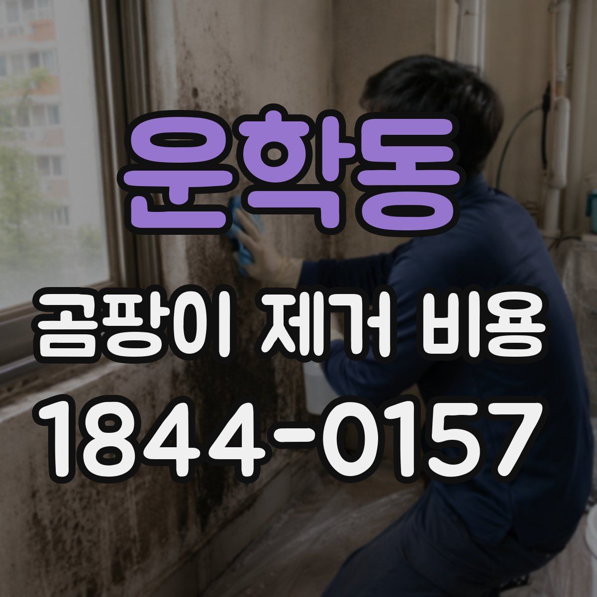 운학동 곰팡이 제거 비용