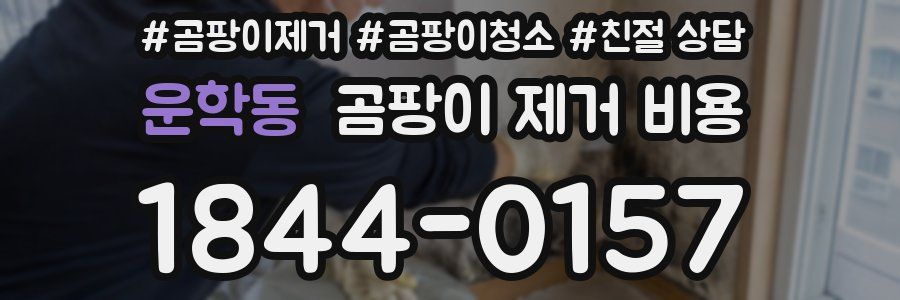 운학동 곰팡이 제거 비용