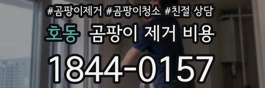 호동 곰팡이 제거 비용
