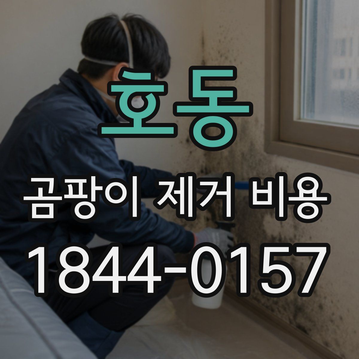 호동 곰팡이 제거 비용