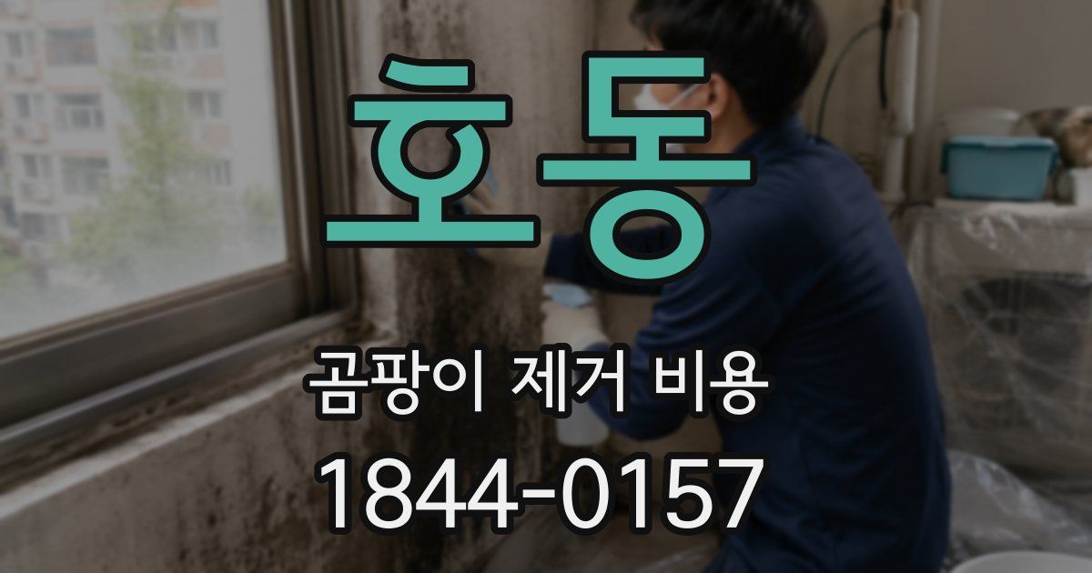 호동 곰팡이 제거 비용