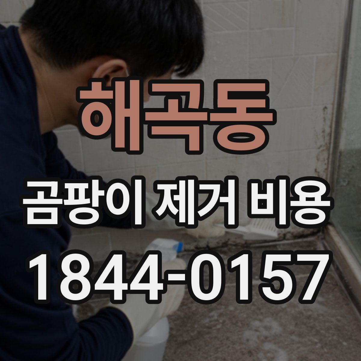 해곡동 곰팡이 제거 비용
