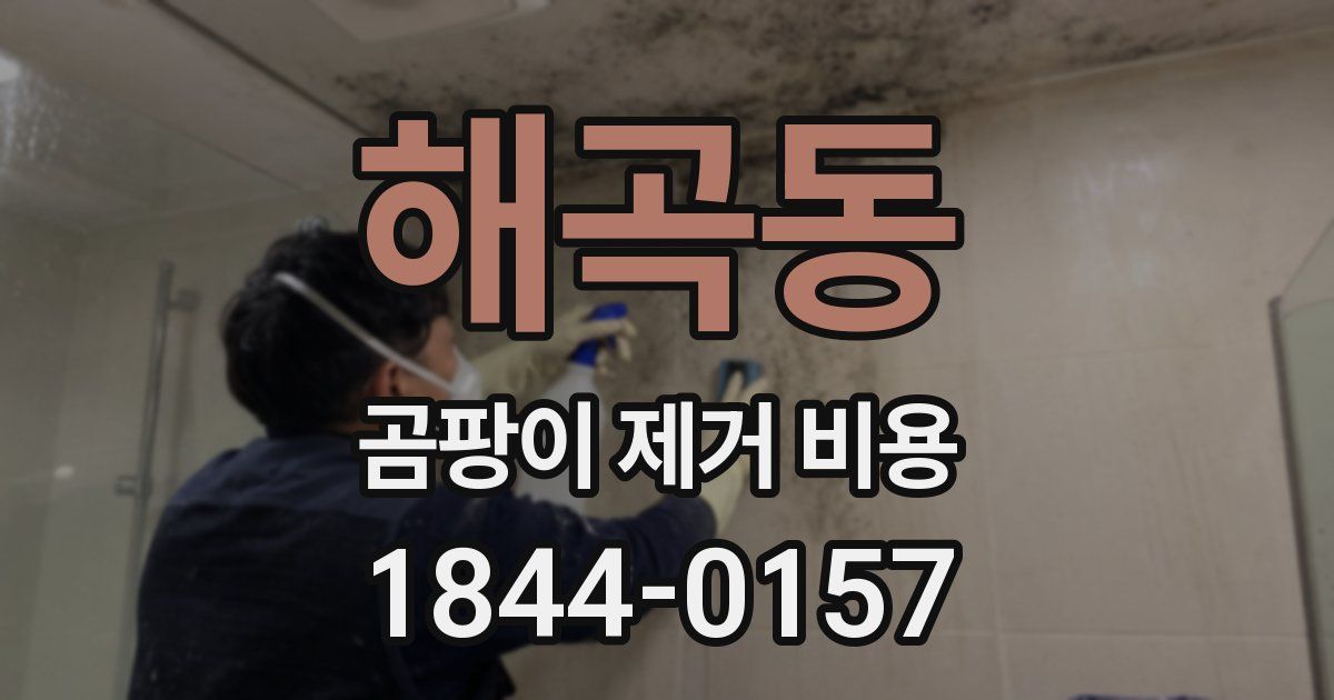 해곡동 곰팡이 제거 비용