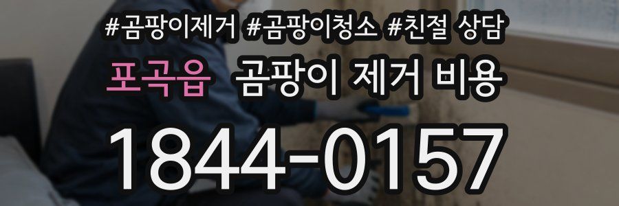 포곡읍 곰팡이 제거 비용