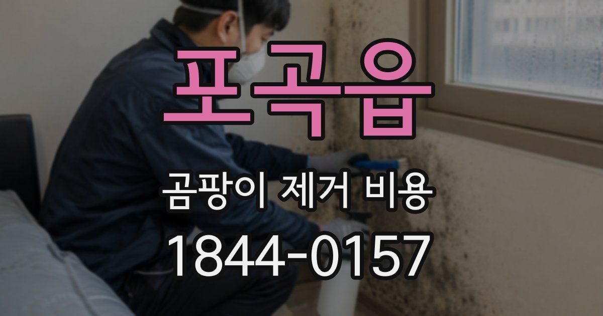 포곡읍 곰팡이 제거 비용
