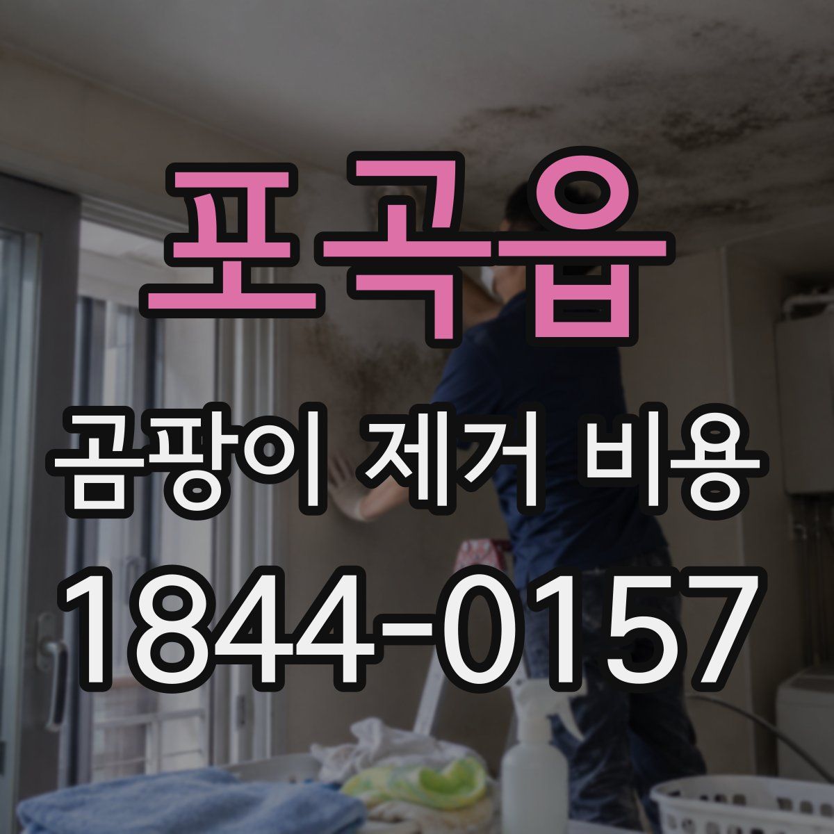 포곡읍 곰팡이 제거 비용