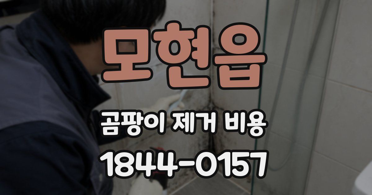 모현읍 곰팡이 제거 비용