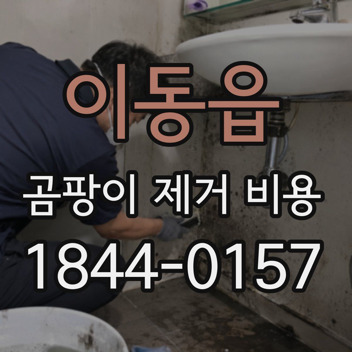 이동읍 곰팡이 제거 비용