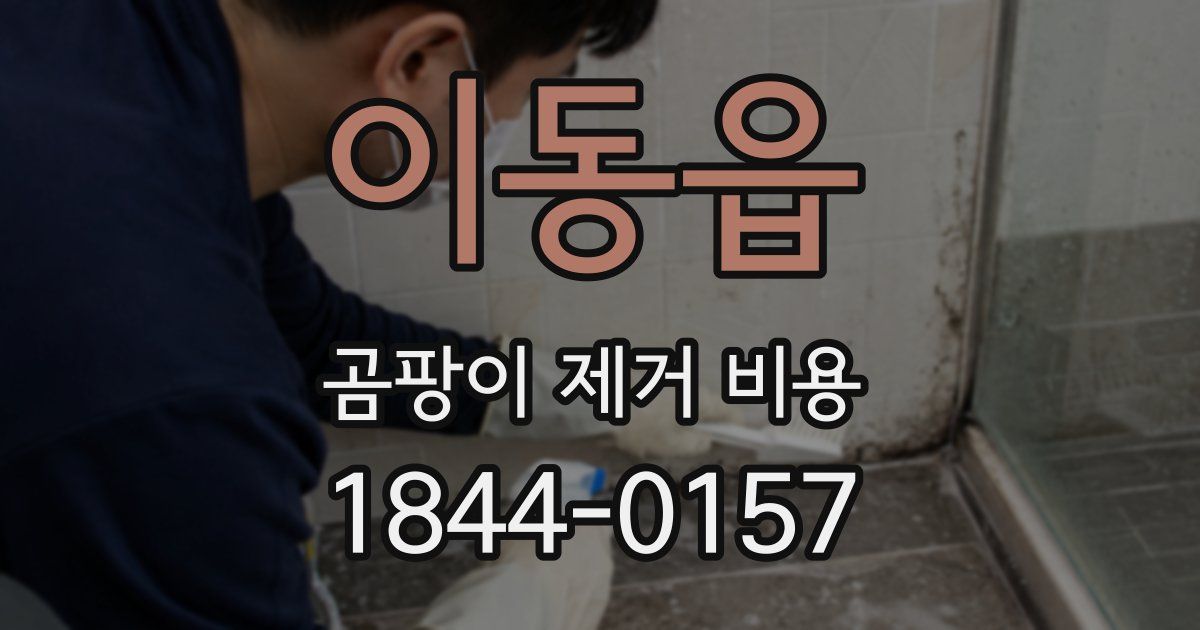 이동읍 곰팡이 제거 비용