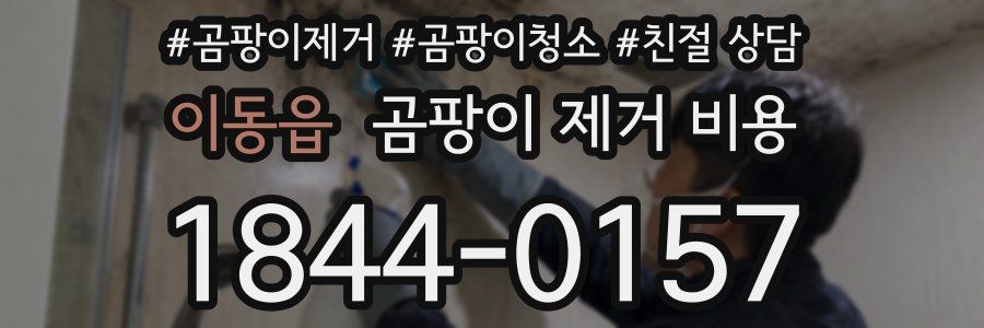 이동읍 곰팡이 제거 비용