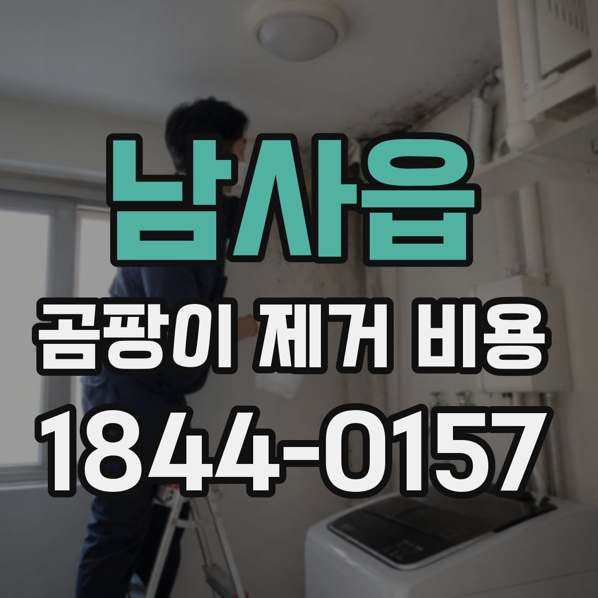 남사읍 곰팡이 제거 비용