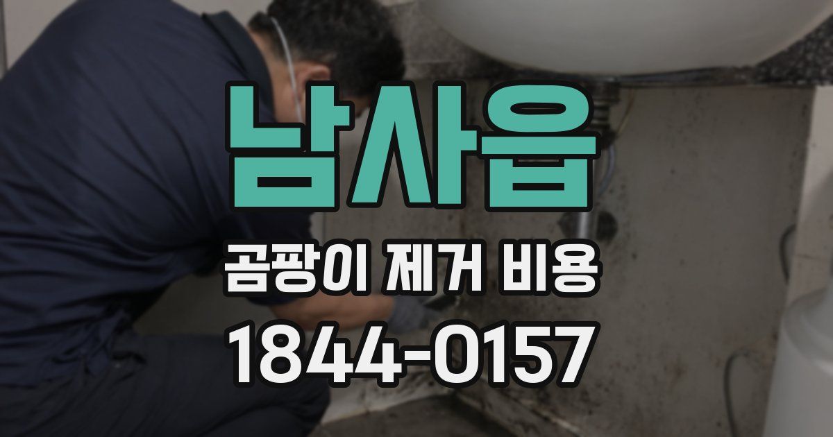 남사읍 곰팡이 제거 비용