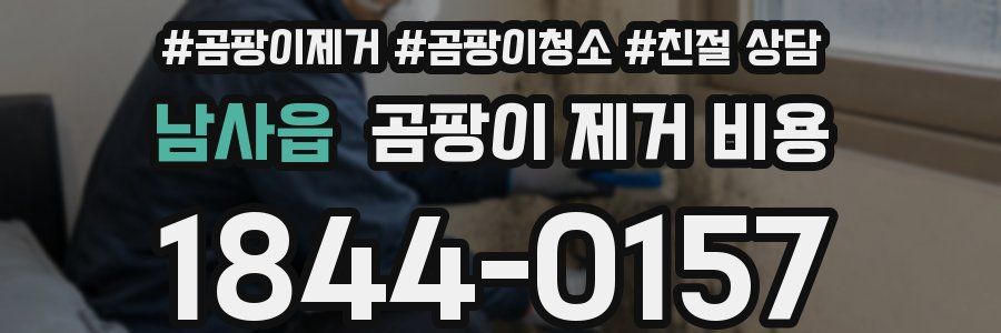 남사읍 곰팡이 제거 비용