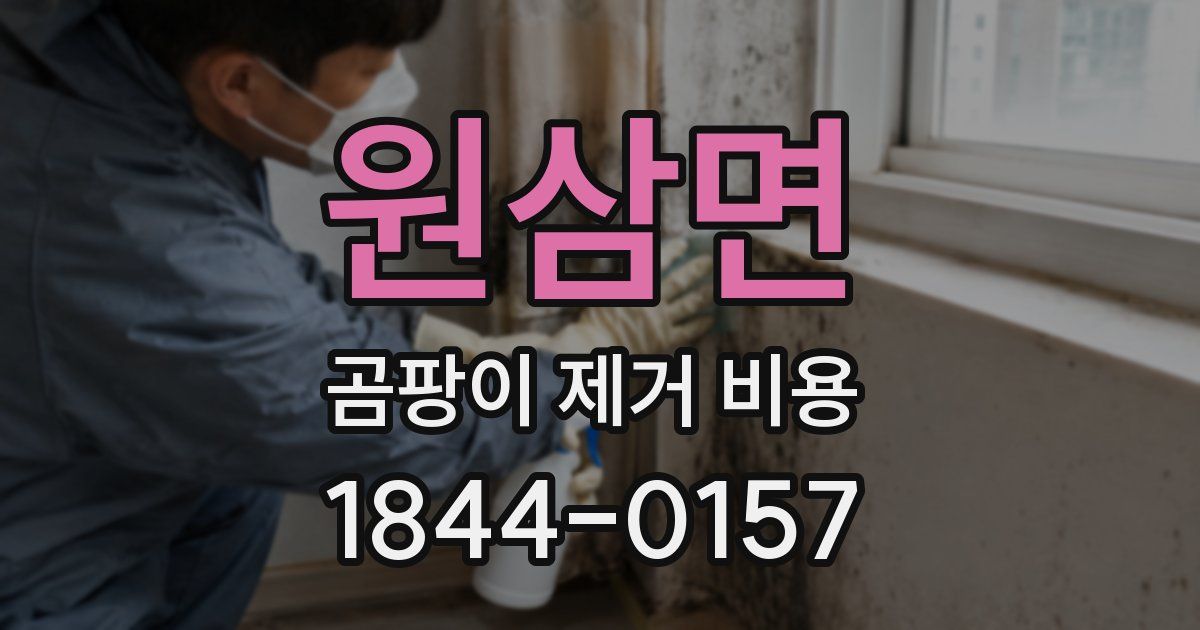 원삼면 곰팡이 제거 비용