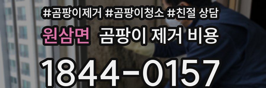 원삼면 곰팡이 제거 비용