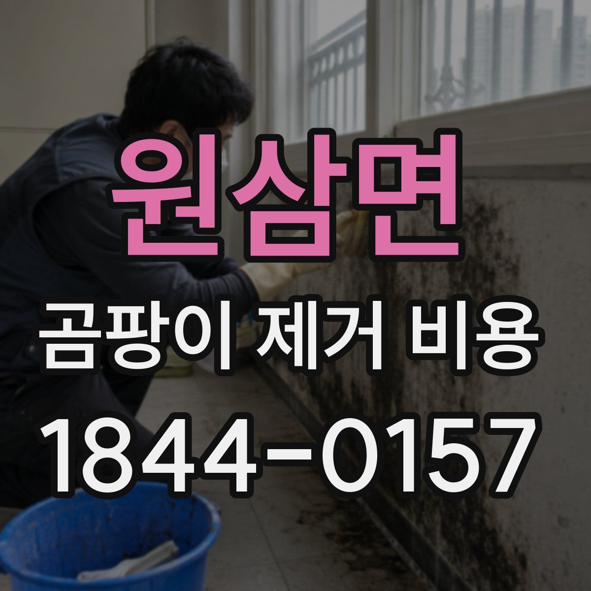 원삼면 곰팡이 제거 비용