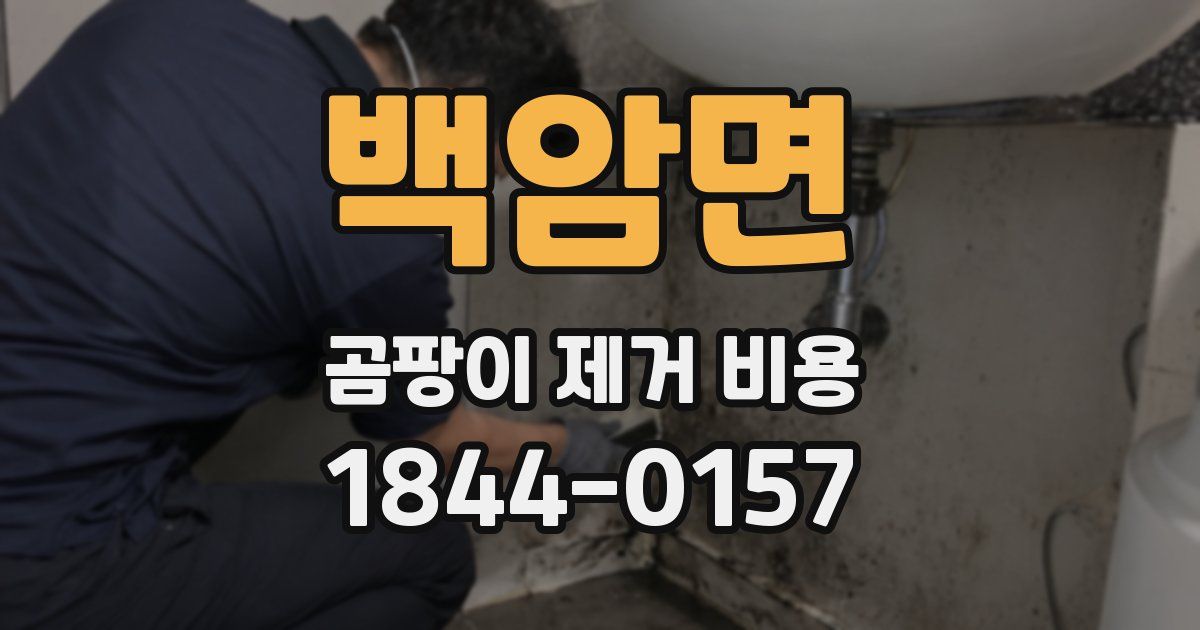 백암면 곰팡이 제거 비용