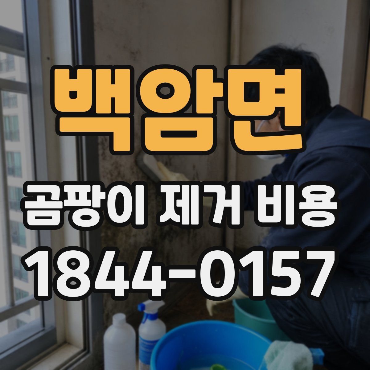 백암면 곰팡이 제거 비용
