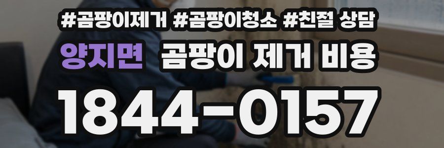 양지면 곰팡이 제거 비용