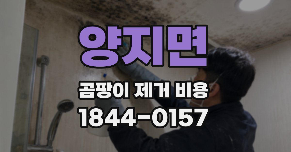 양지면 곰팡이 제거 비용