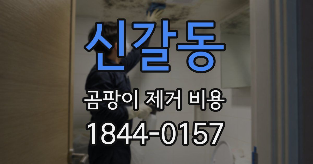 신갈동 곰팡이 제거 비용