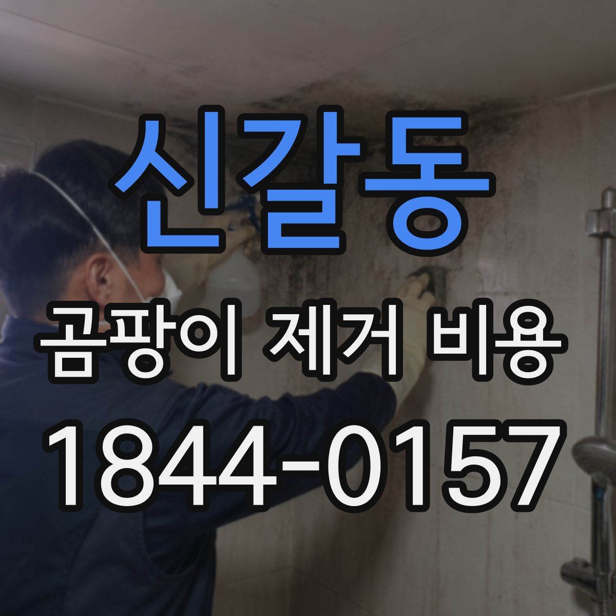 신갈동 곰팡이 제거 비용