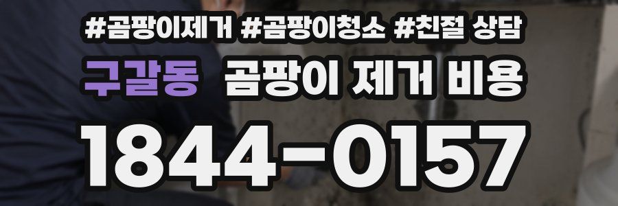 구갈동 곰팡이 제거 비용