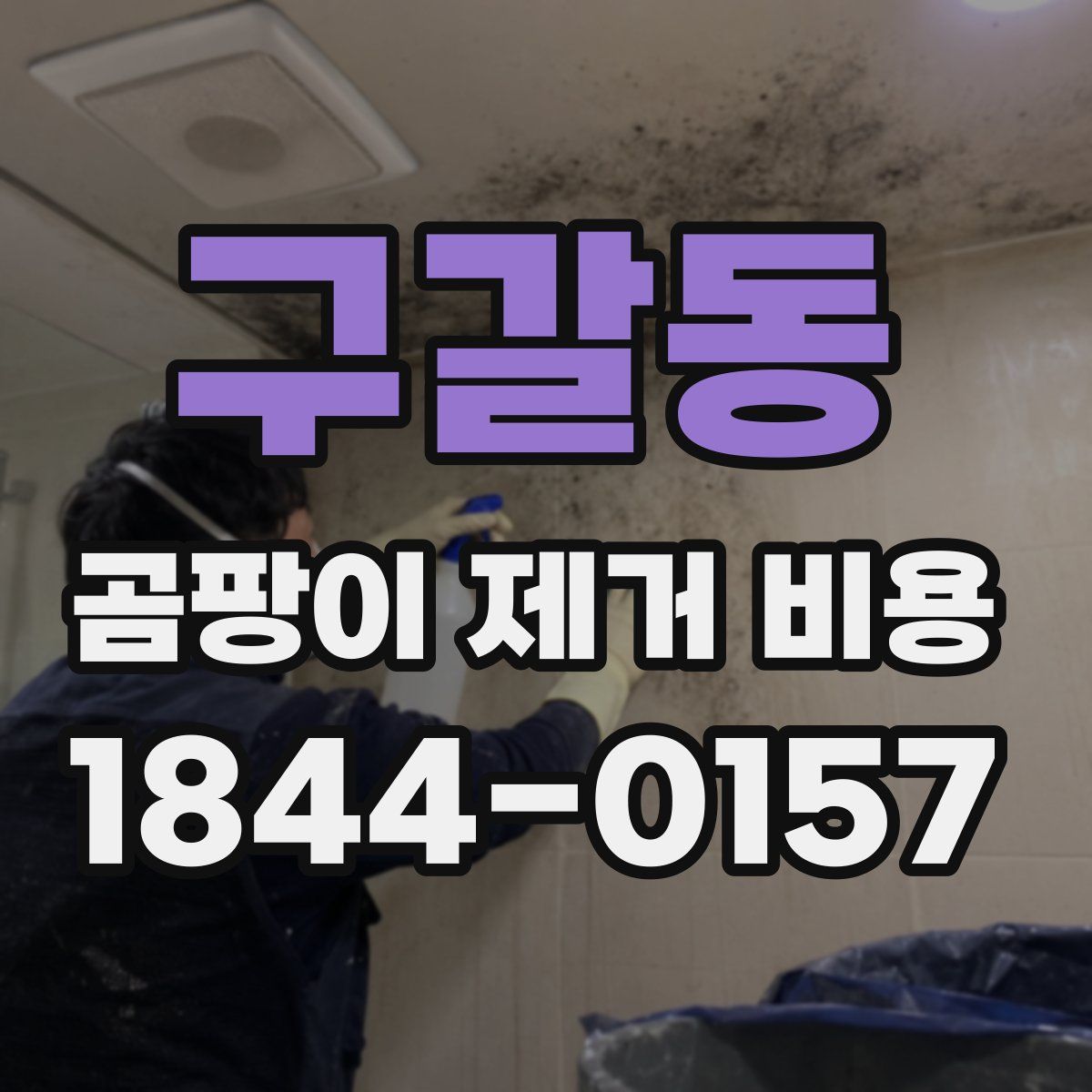 구갈동 곰팡이 제거 비용