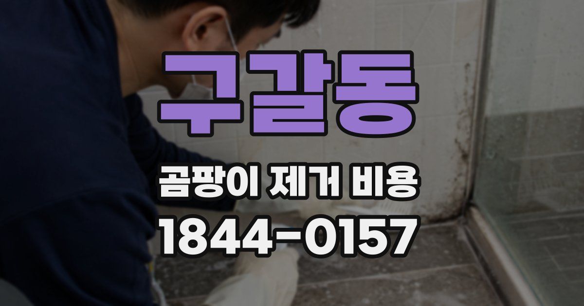 구갈동 곰팡이 제거 비용