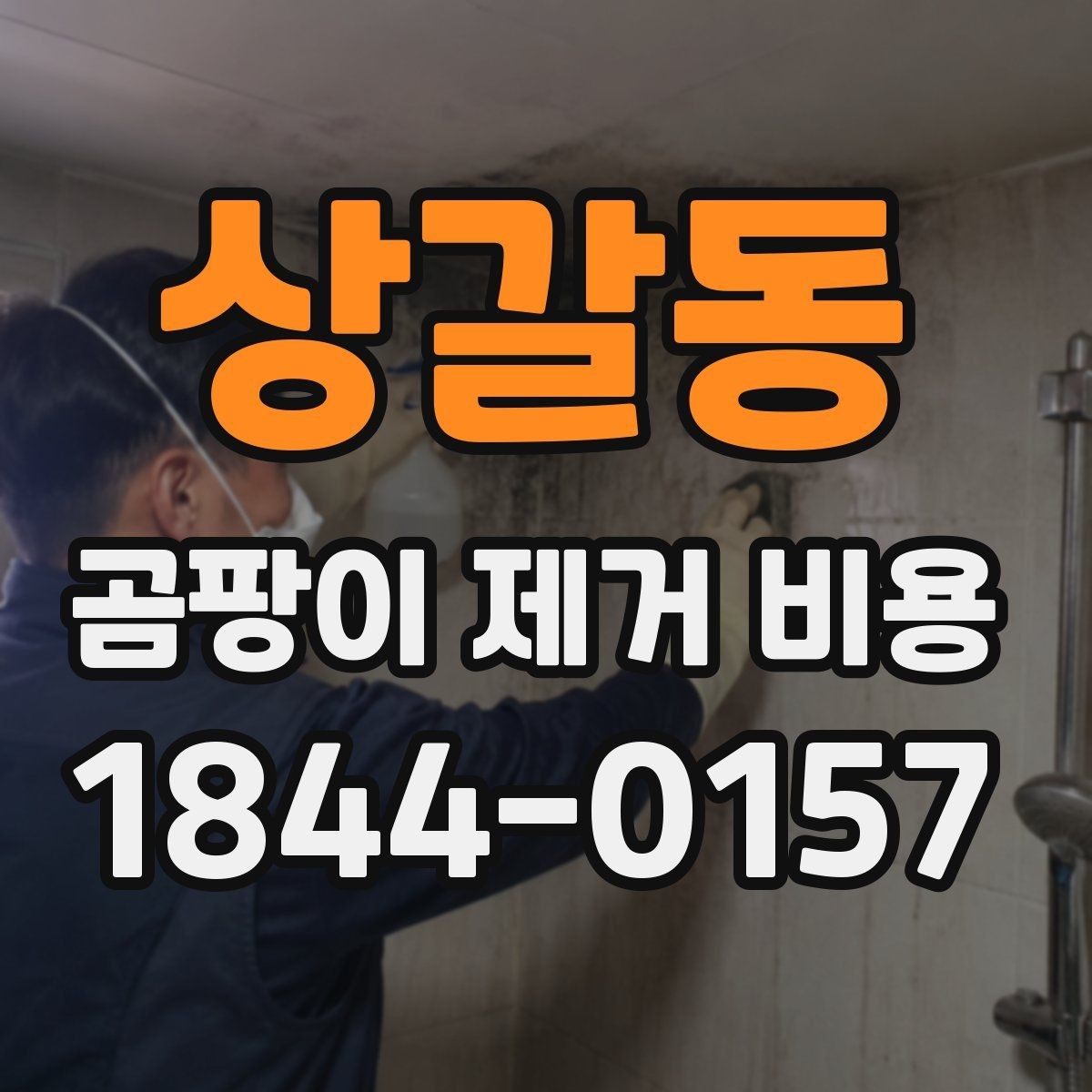 상갈동 곰팡이 제거 비용 업체 선택 전에 알아둘 내용