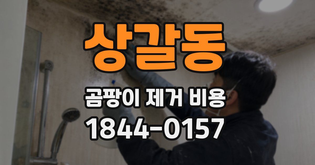상갈동 곰팡이 제거 비용