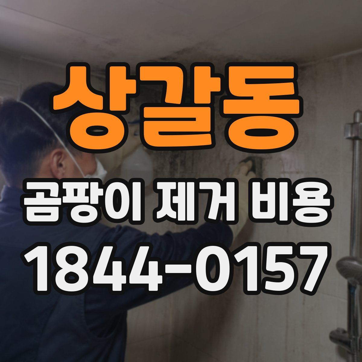 상갈동 곰팡이 제거 비용