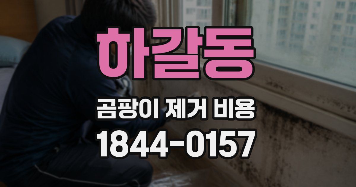 하갈동 곰팡이 제거 비용