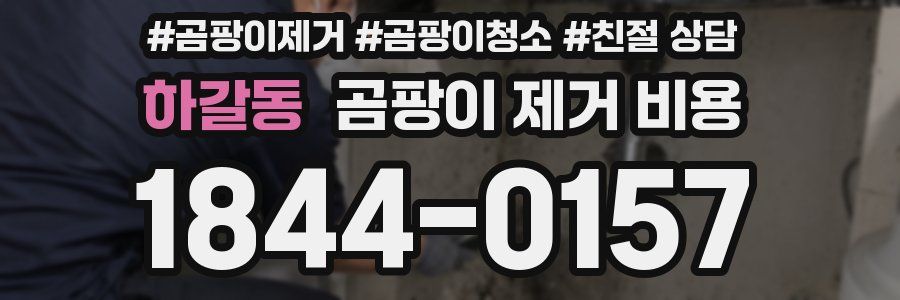 하갈동 곰팡이 제거 비용