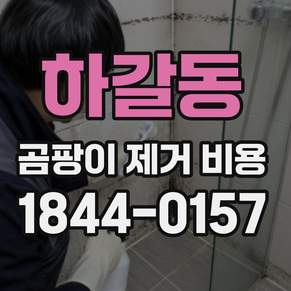 하갈동 곰팡이 제거 비용