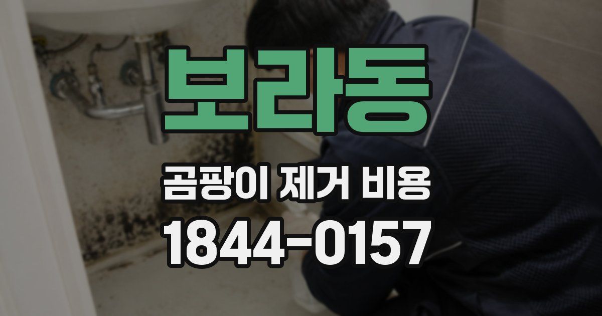 보라동 곰팡이 제거 비용