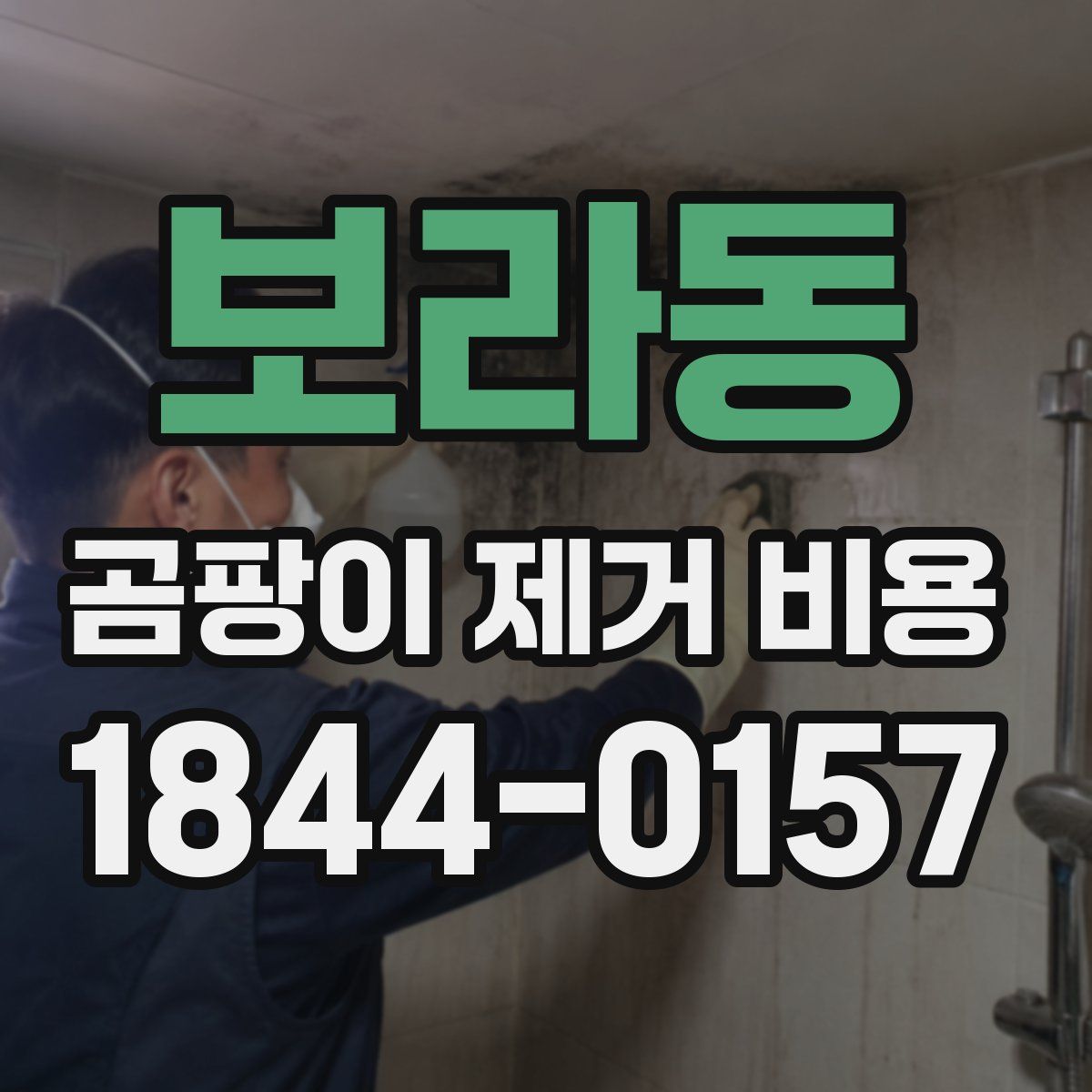 보라동 곰팡이 제거 비용