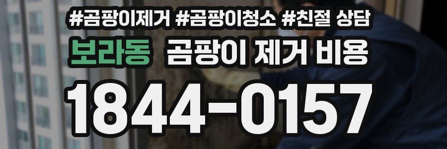 보라동 곰팡이 제거 비용