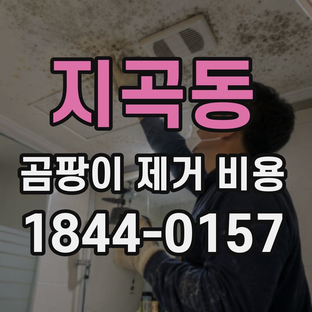 지곡동 곰팡이 제거 비용 문의 전 체크해야 할 하자 여부