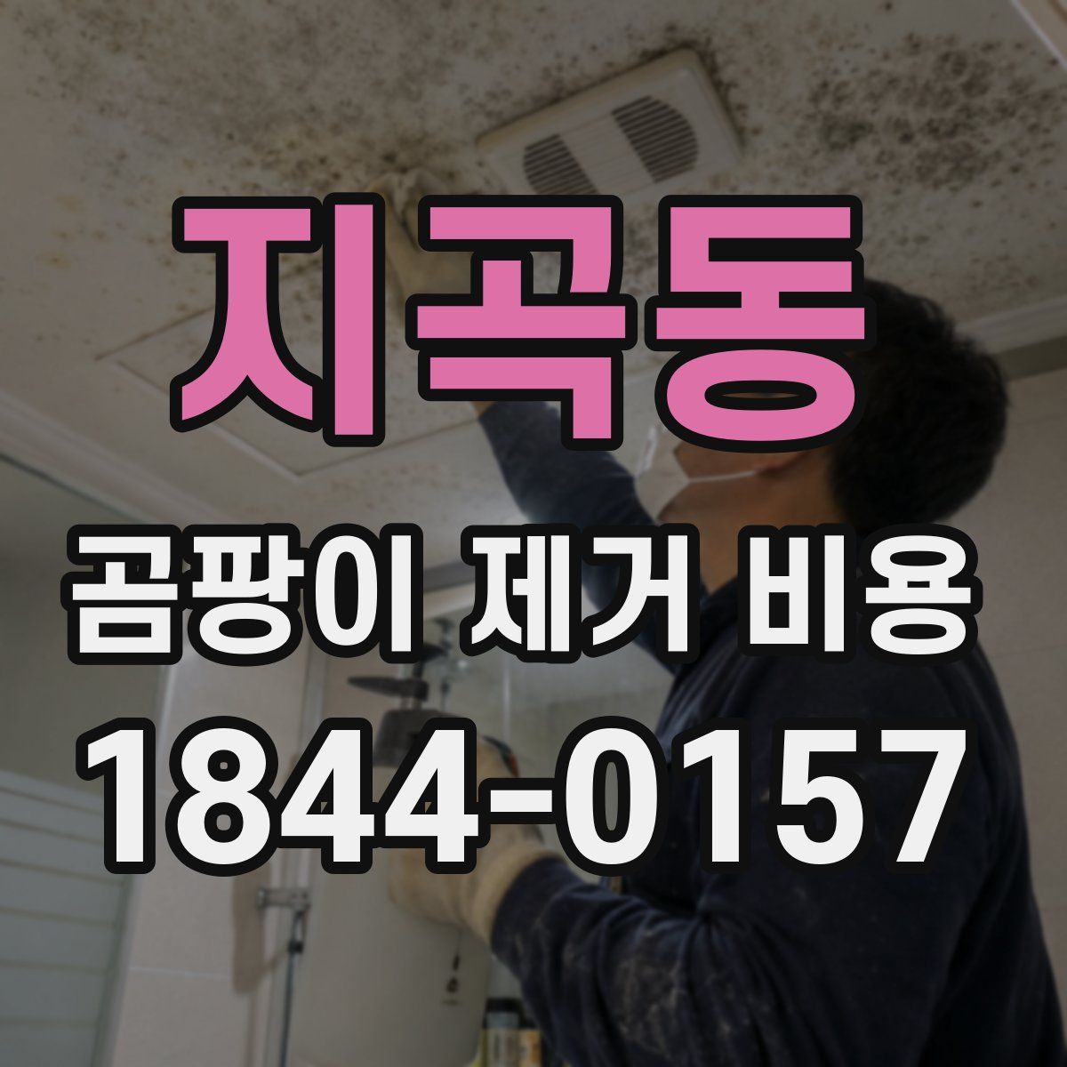 지곡동 곰팡이 제거 비용