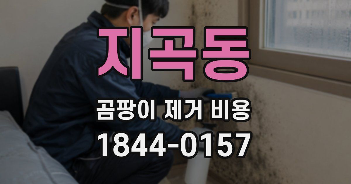지곡동 곰팡이 제거 비용