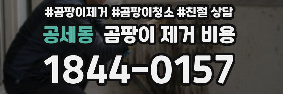 공세동 곰팡이 제거 비용