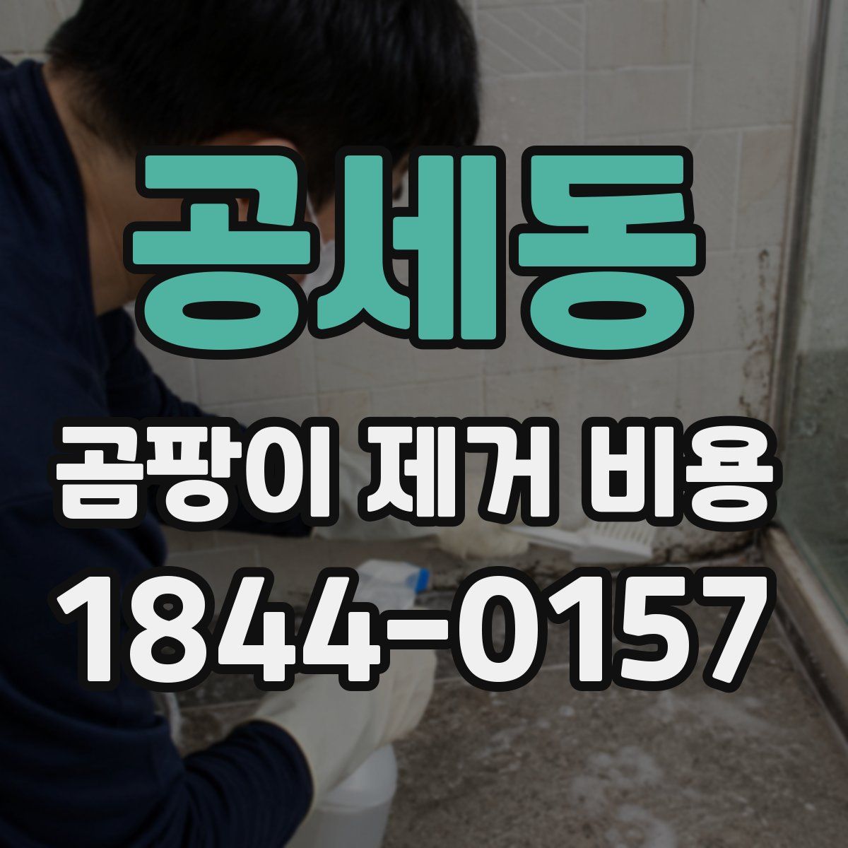 공세동 곰팡이 제거 비용