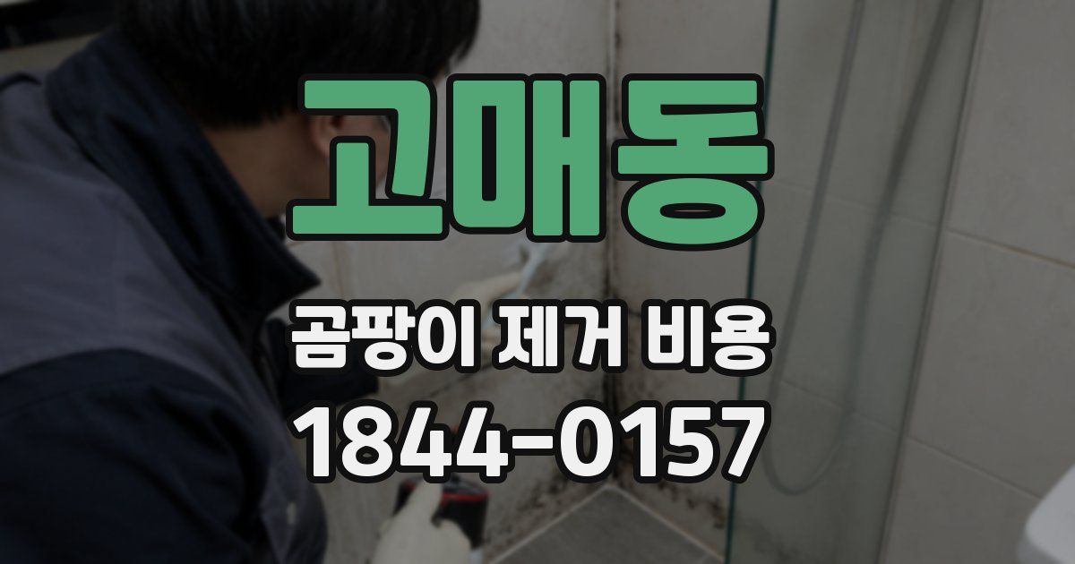 고매동 곰팡이 제거 비용