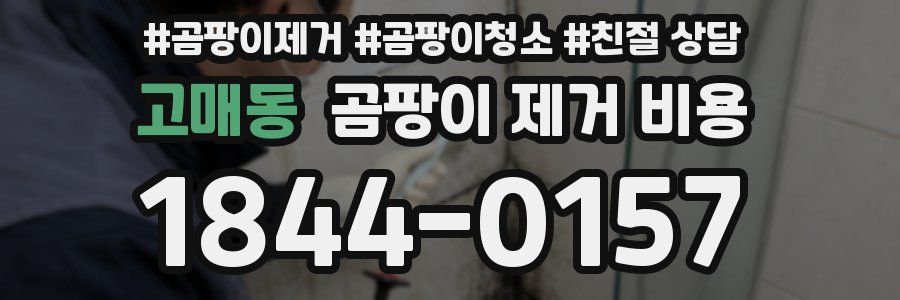 고매동 곰팡이 제거 비용