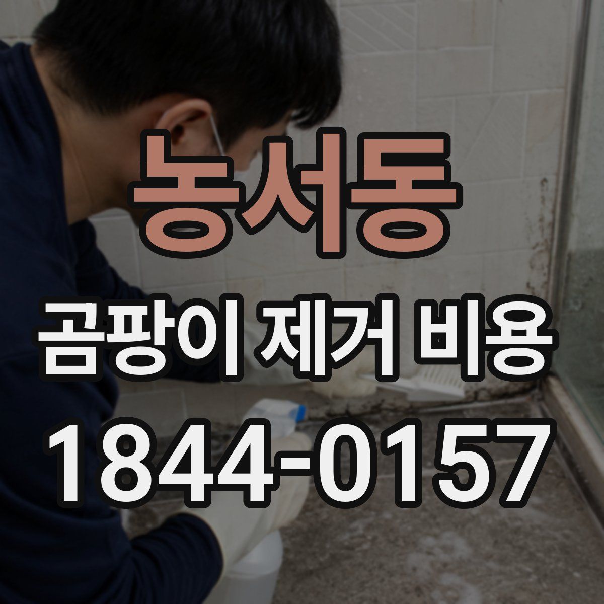 농서동 곰팡이 제거 비용