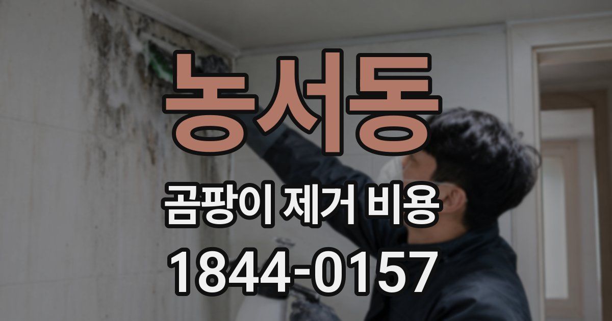 농서동 곰팡이 제거 비용