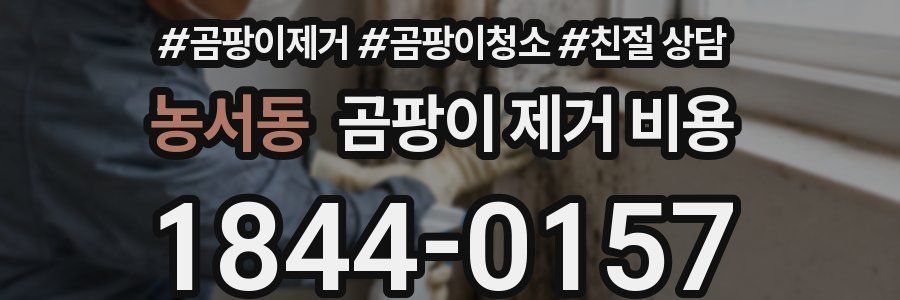 농서동 곰팡이 제거 비용