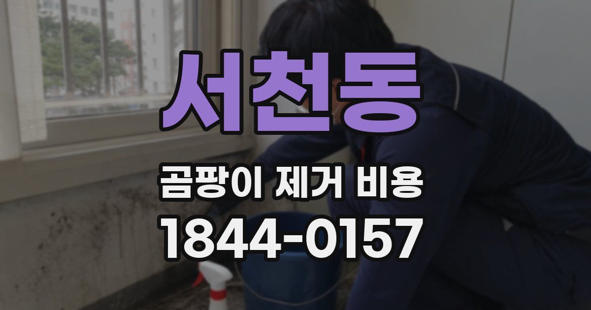 서천동 곰팡이 제거 비용